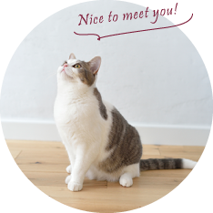 Nice to meet you!
